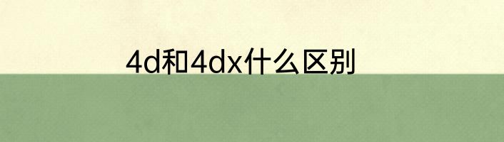 4d和4dx什么区别