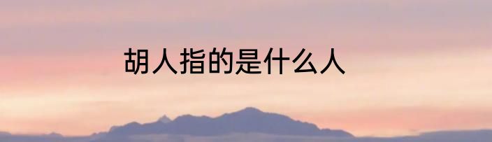 胡人指的是什么人