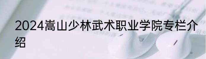 2024嵩山少林武术职业学院专栏介绍