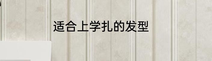 适合上学扎的发型