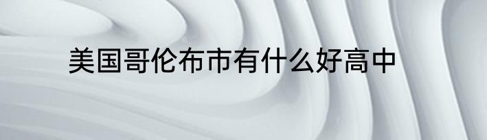 美国哥伦布市有什么好高中