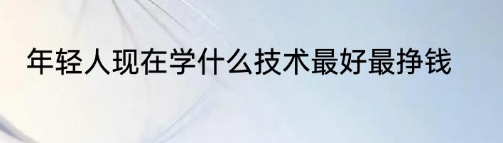 年轻人现在学什么技术最好最挣钱
