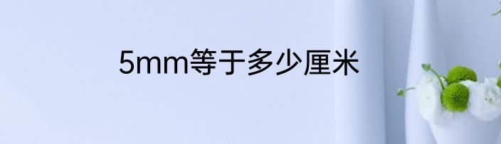 5mm等于多少厘米