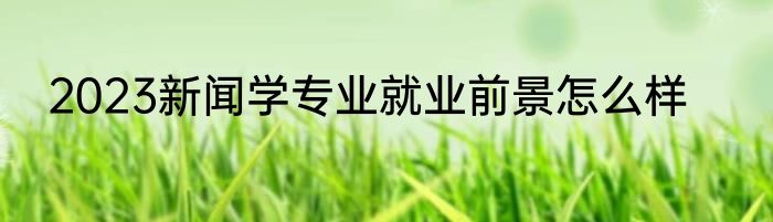 2023新闻学专业就业前景怎么样