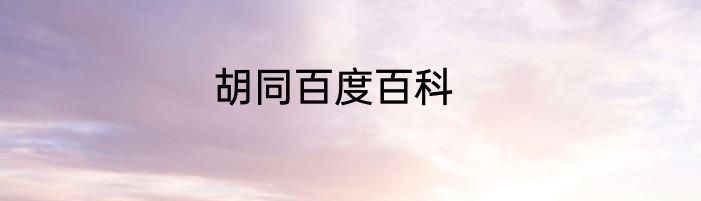 胡同百度百科