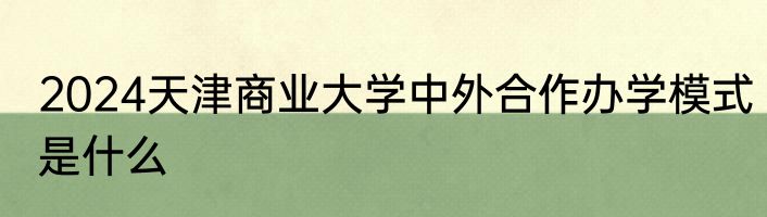 2024天津商业大学中外合作办学模式是什么