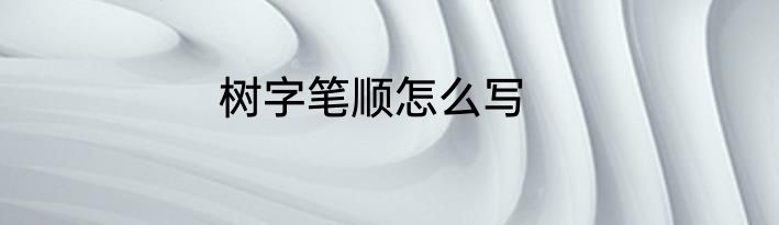 树字笔顺怎么写