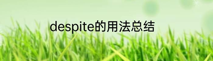 despite的用法总结