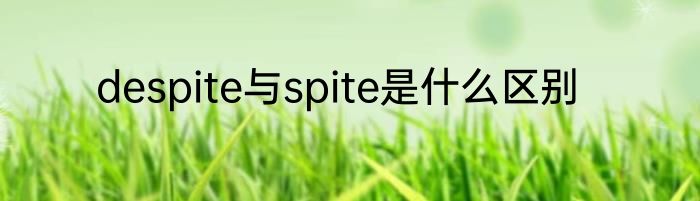 despite与spite是什么区别