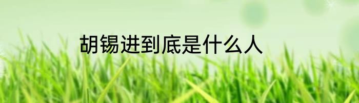 胡锡进到底是什么人