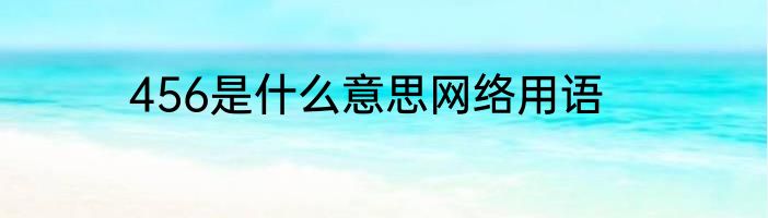 456是什么意思网络用语