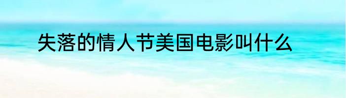 失落的情人节美国电影叫什么