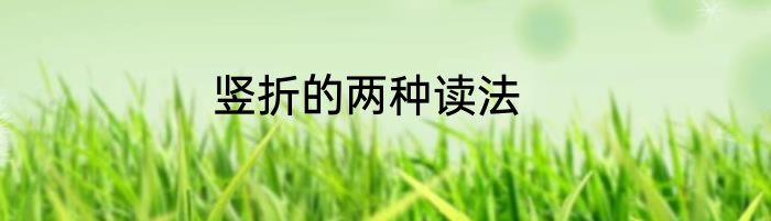 竖折的两种读法