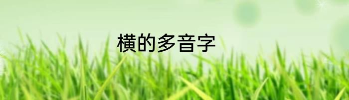 横的多音字