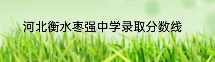 河北衡水枣强中学录取分数线
