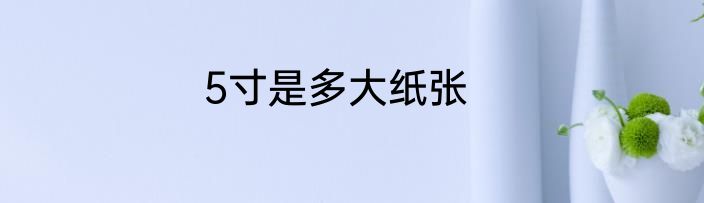 5寸是多大纸张