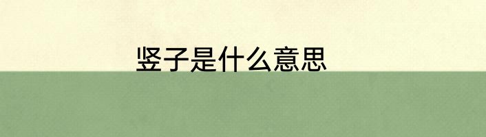 竖子是什么意思