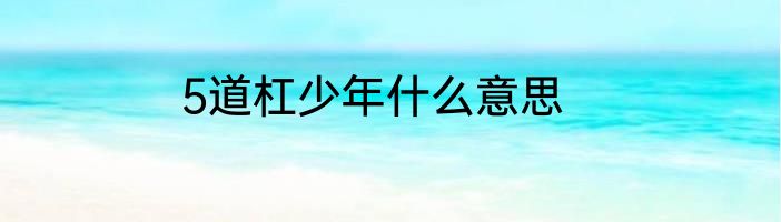 5道杠少年什么意思