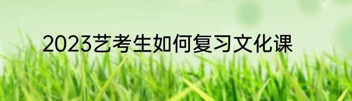2023艺考生如何复习文化课