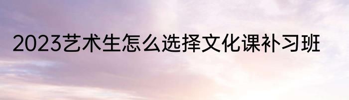 2023艺术生怎么选择文化课补习班