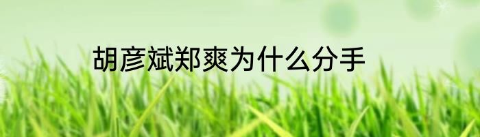 胡彦斌郑爽为什么分手