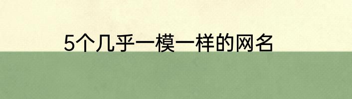 5个几乎一模一样的网名