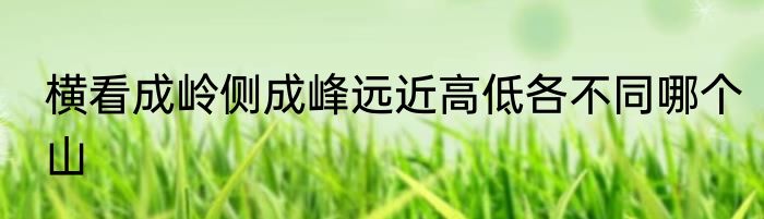 横看成岭侧成峰远近高低各不同哪个山
