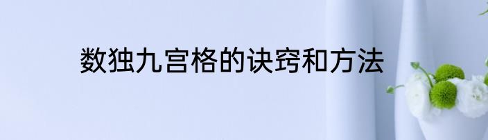 数独九宫格的诀窍和方法