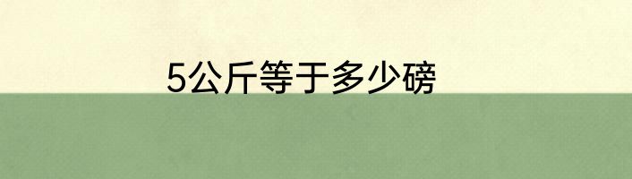 5公斤等于多少磅