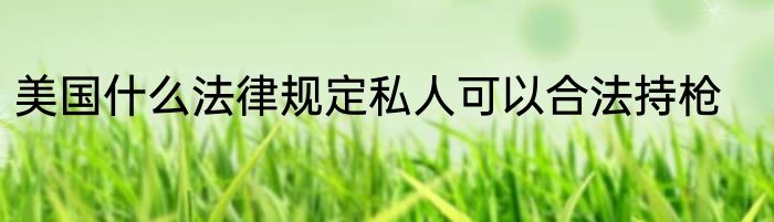 美国什么法律规定私人可以合法持枪