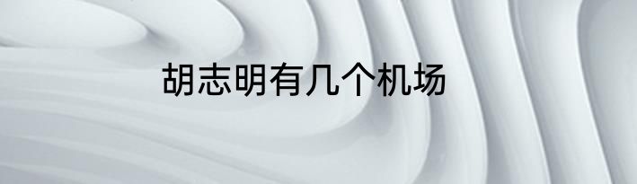 胡志明有几个机场