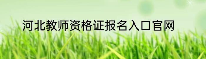 河北教师资格证报名入口官网