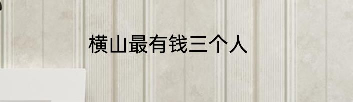 横山最有钱三个人