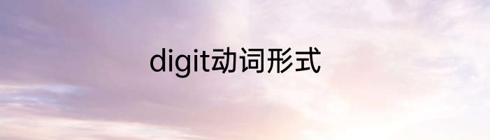 digit动词形式