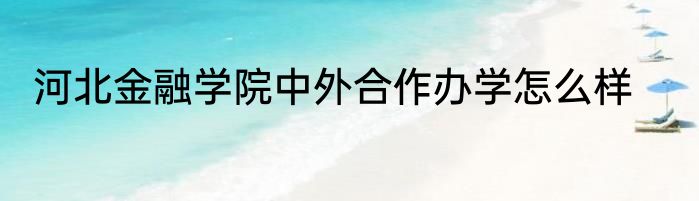 河北金融学院中外合作办学怎么样