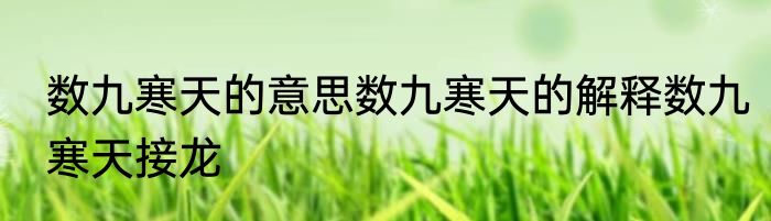 数九寒天的意思数九寒天的解释数九寒天接龙