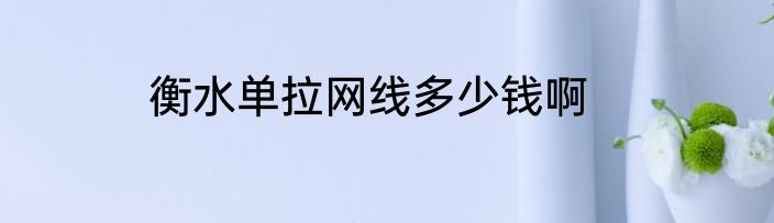 衡水单拉网线多少钱啊