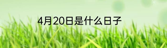 4月20日是什么日子
