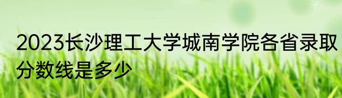 2023长沙理工大学城南学院各省录取分数线是多少