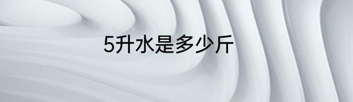5升水是多少斤