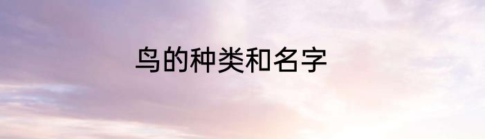鸟的种类和名字