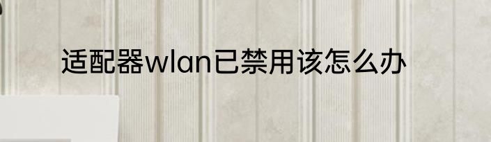 适配器wlan已禁用该怎么办