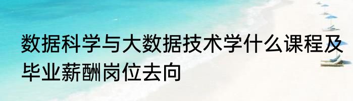 数据科学与大数据技术学什么课程及毕业薪酬岗位去向