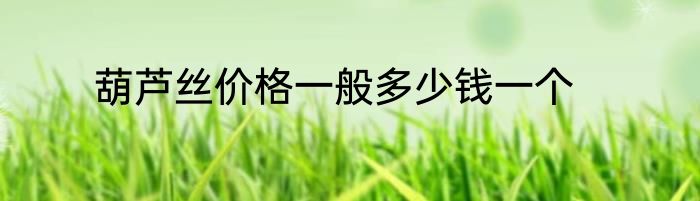 葫芦丝价格一般多少钱一个