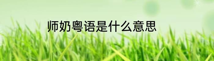 师奶粤语是什么意思