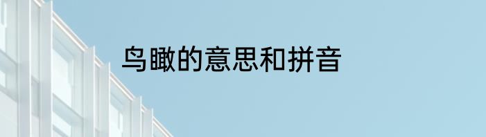 鸟瞰的意思和拼音