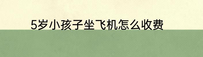5岁小孩子坐飞机怎么收费