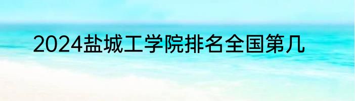 2024盐城工学院排名全国第几