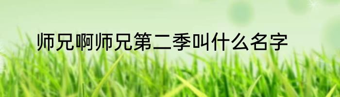 师兄啊师兄第二季叫什么名字