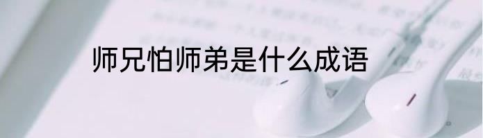 师兄怕师弟是什么成语